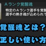 覚醒魂とは?使い方