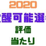 覚醒可能選手